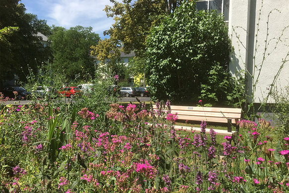 Gartenbank, im Vorgrund rosafarbene blühende Blumen