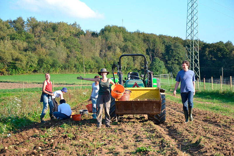 Menschen arbeiten auf einem Feld