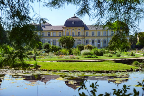Das Poppelsdorfer Schloss mit dem Weiher und dem Botanischen Garten im Sommer