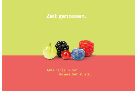 Das Plakat zeigt eine Traube, Brombeere, Johannisbeere, Heidelbeere und Himbeere