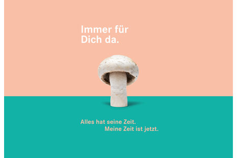 Das Plakat zeigt einen weißen Champignon. Text: Alles hat seine Zeit. Meine Zeit ist jetzt.