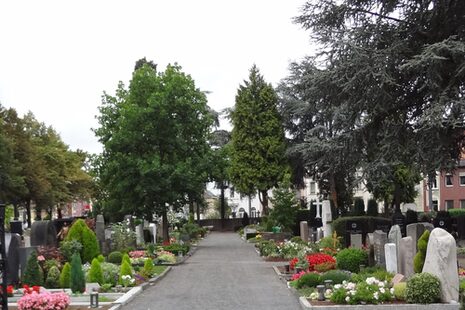 Цвинтар св. Йосипа і Павла