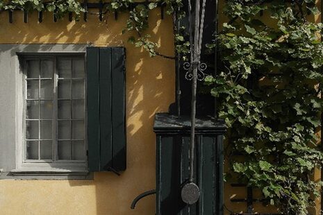 Das Foto zeigt die alte Wasserpumpe im Garten des Beethoven-Hauses.